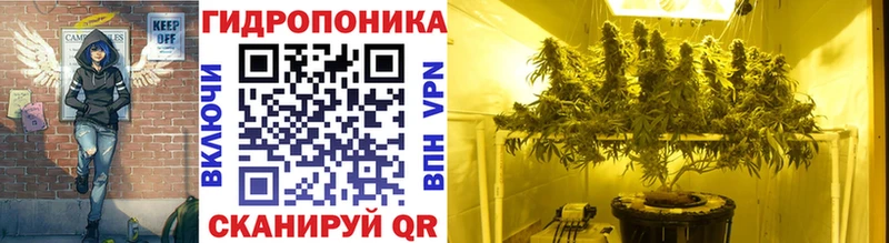 Продажа наркотиков Балашов Кокаин  MEGA маркетплейс  Экстази  ГАШ  Меф мяу мяу 