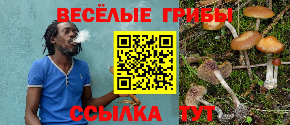 Псилоцибиновые грибы мухоморы Балашов