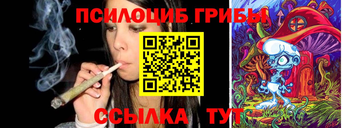 Балашов  Псилоцибиновые грибы мухоморы  Вход с VPN 